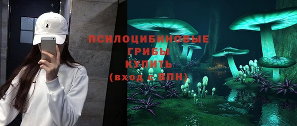 apvp Абинск